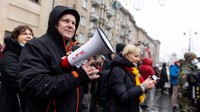 Protestas prie Seimo Sausio 13-ąją