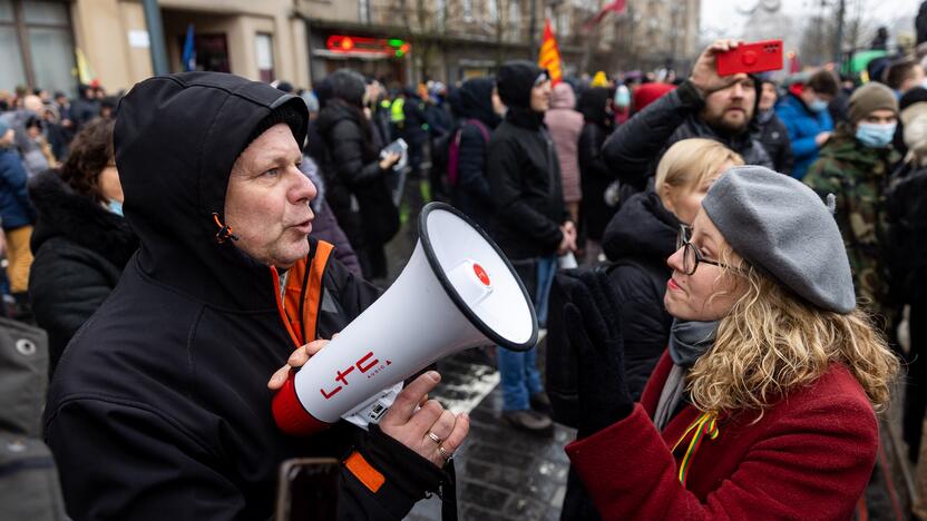 Protestas prie Seimo Sausio 13-ąją