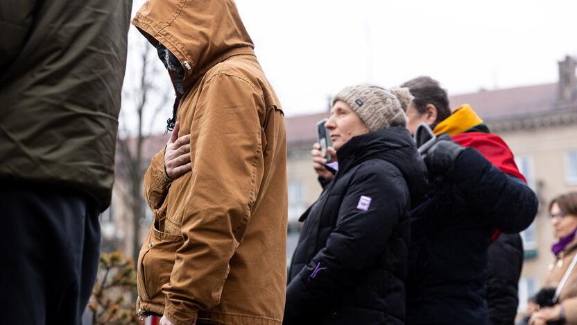 Protestas prie Seimo Sausio 13-ąją