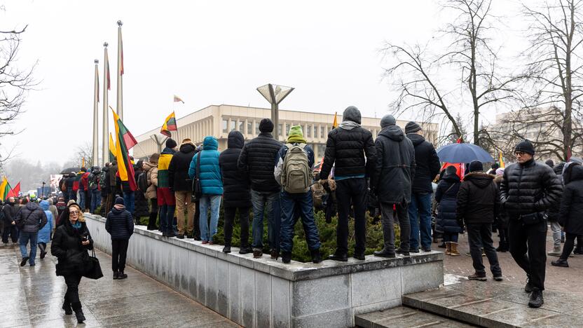 Protestas prie Seimo Sausio 13-ąją