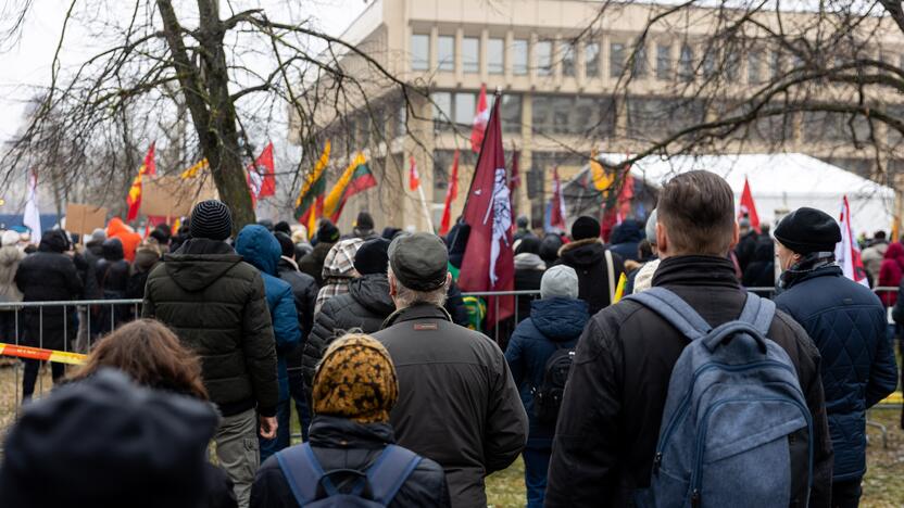 Protestas prie Seimo Sausio 13-ąją