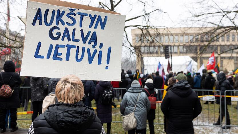 Protestas prie Seimo Sausio 13-ąją