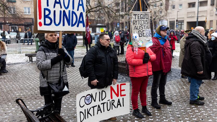 Protestas prie Seimo Sausio 13-ąją