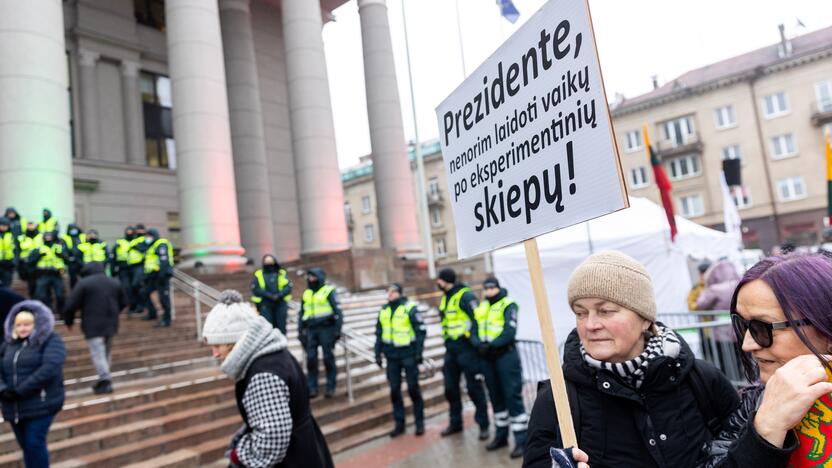 Protestas prie Seimo Sausio 13-ąją