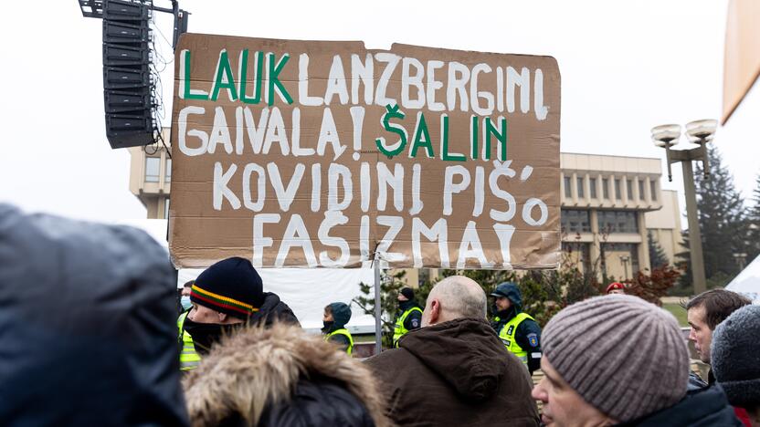 Protestas prie Seimo Sausio 13-ąją