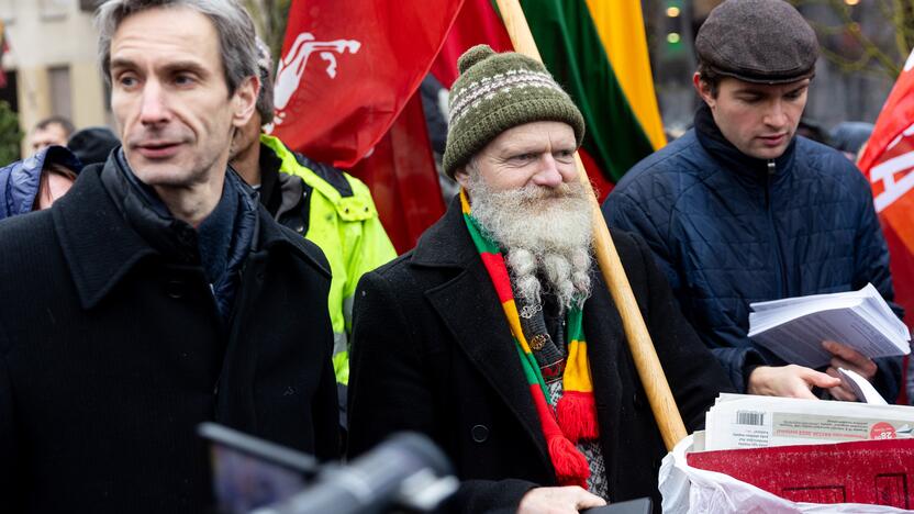 Protestas prie Seimo Sausio 13-ąją