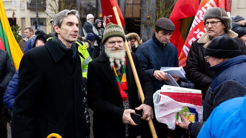 Protestas prie Seimo Sausio 13-ąją