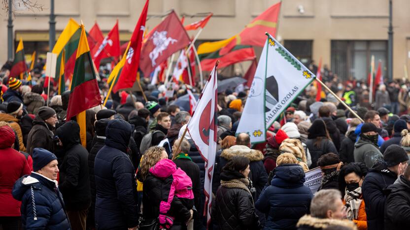 Protestas prie Seimo Sausio 13-ąją