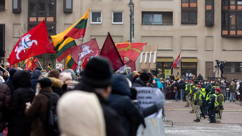 Protestas prie Seimo Sausio 13-ąją