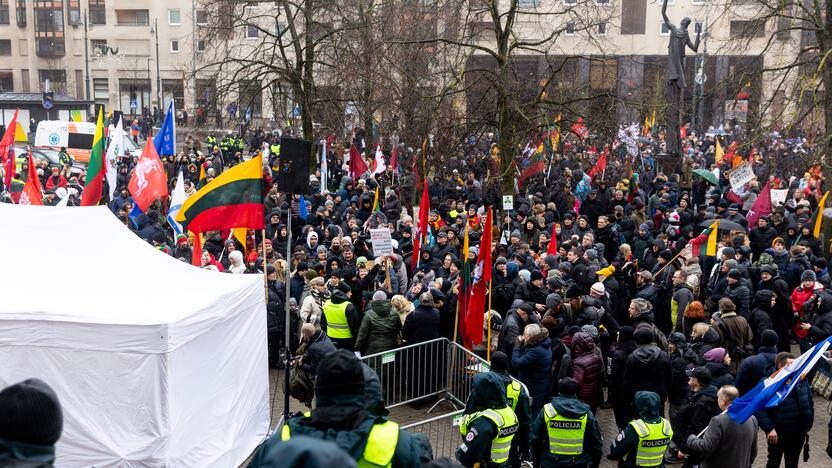 Protestas prie Seimo Sausio 13-ąją