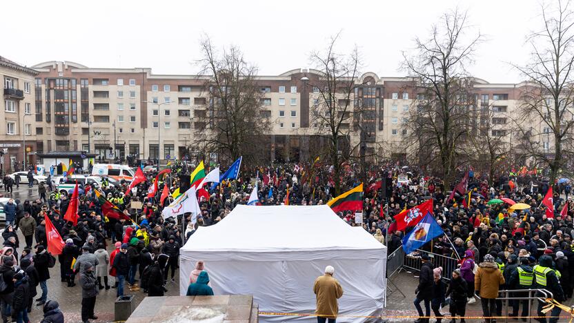 Protestas prie Seimo Sausio 13-ąją