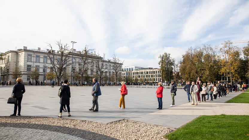 Išankstinis balsavimas Lukiškių aikštėje