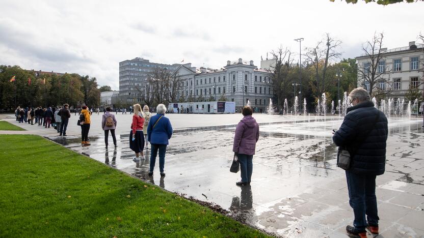 Išankstinis balsavimas Lukiškių aikštėje