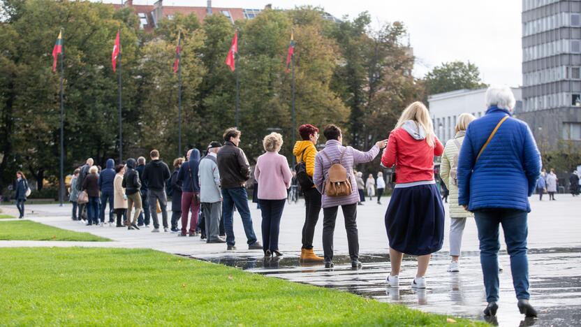 Išankstinis balsavimas Lukiškių aikštėje