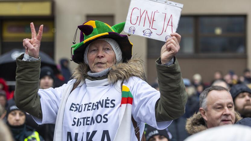 Protestas prie Seimo Sausio 13-ąją