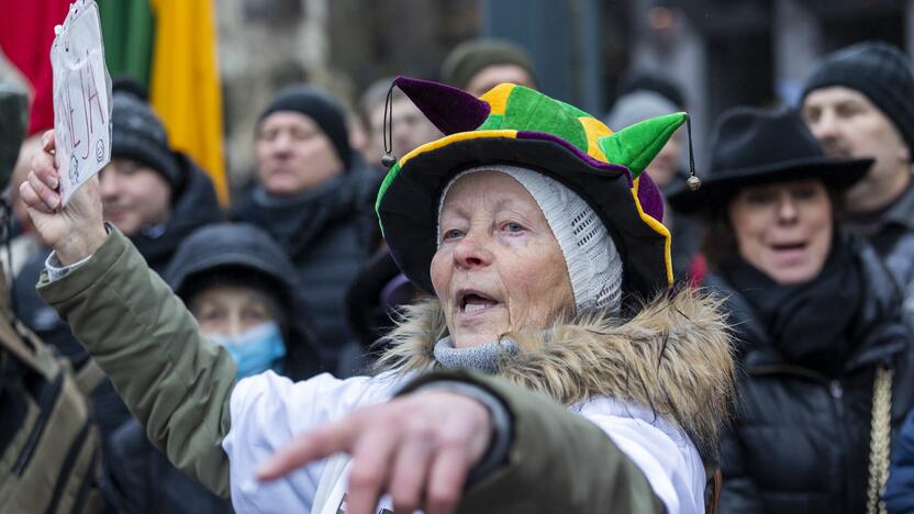 Protestas prie Seimo Sausio 13-ąją