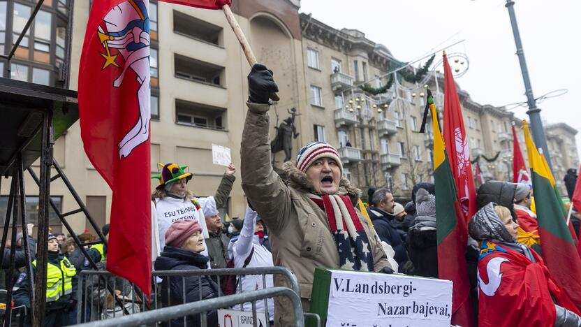 Protestas prie Seimo Sausio 13-ąją