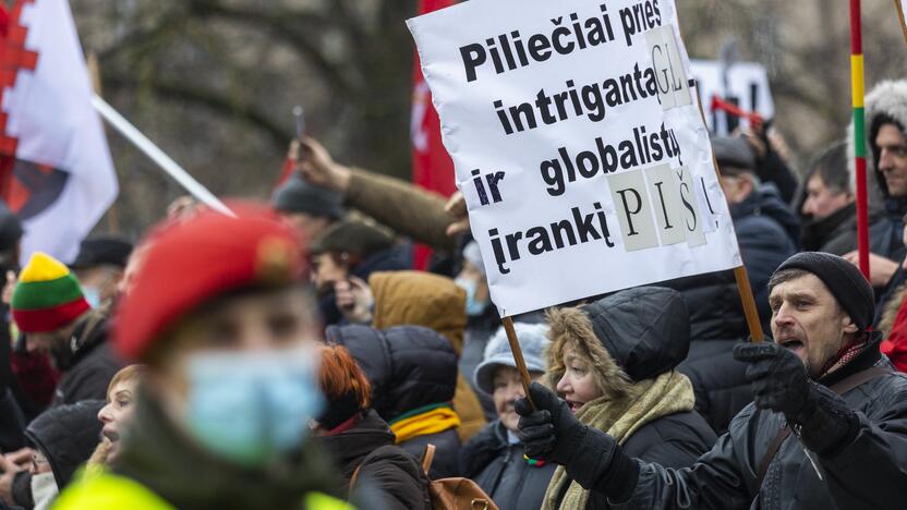 Protestas prie Seimo Sausio 13-ąją