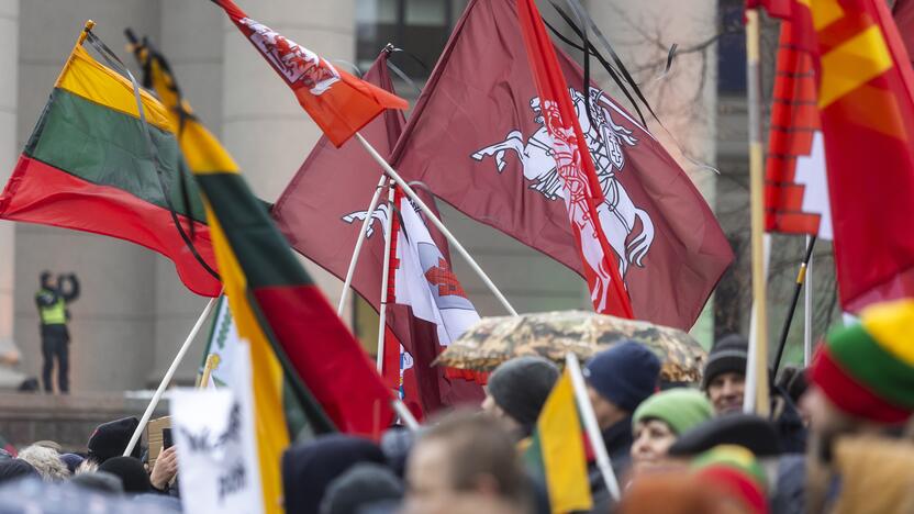 Protestas prie Seimo Sausio 13-ąją