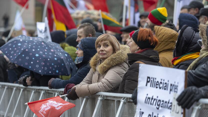 Protestas prie Seimo Sausio 13-ąją