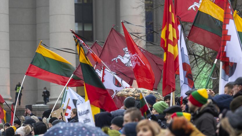 Protestas prie Seimo Sausio 13-ąją