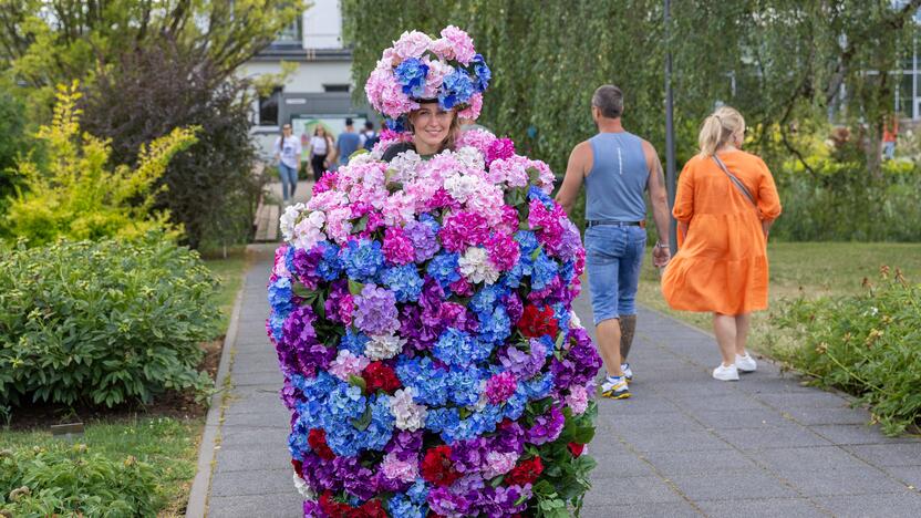 Botaninės naktys | Lietuvos pievos ir miškai – nakties paslaptys