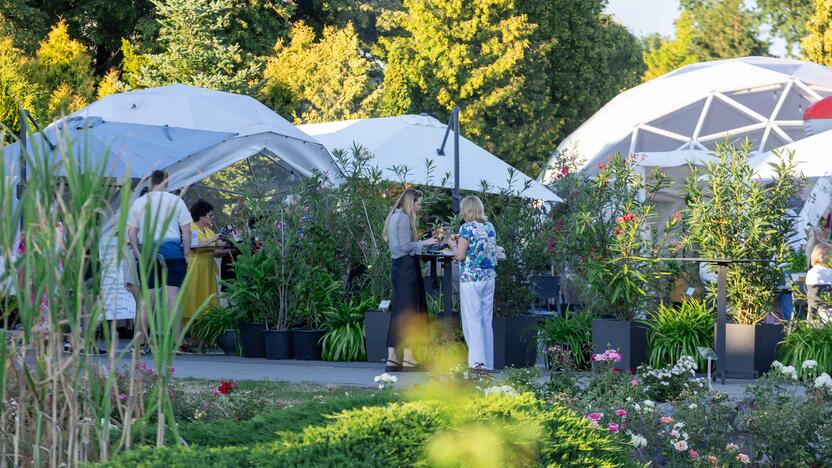 Botaninės naktys | Vasaros gėlių naktis