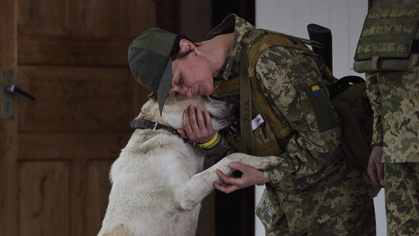 96-oji karo Ukrainoje diena