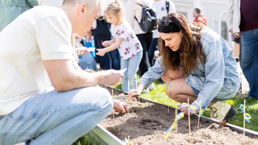 Saulėgrąžų sodinimo akcija Tuskulėnų rimties parke