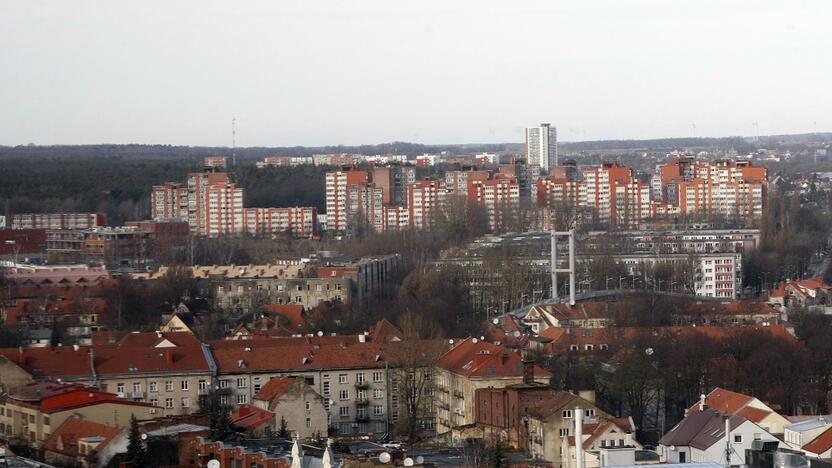 Stagnacija: per metus gyventojai iš savivaldybės įsigyja iki 15 būstų.