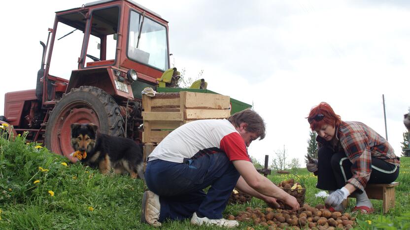 Pasiekimas: kaip didžiausią pergalę derybose dėl ES pinigų Prezidentas G.Nausėda įvardijo išmokų žemdirbiams didėjimą.