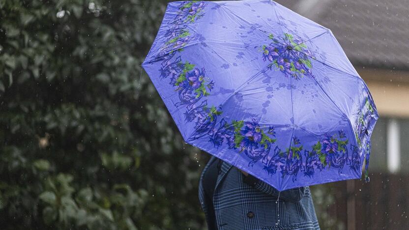 Kasdienybė: beveik kiekvieną dieną sulauksime lietaus arba stiprių vėjo gūsių.