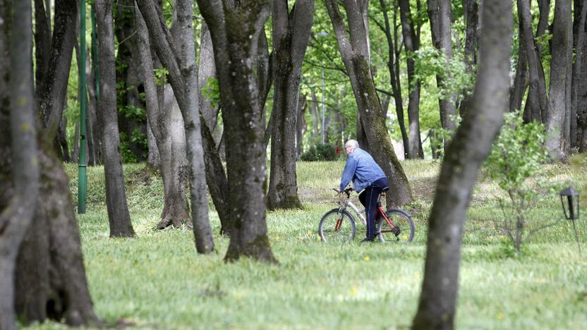 Apleido: per daugelį metų, kai parko želdiniai buvo neprižiūrimi, jis virto tikru mišku.