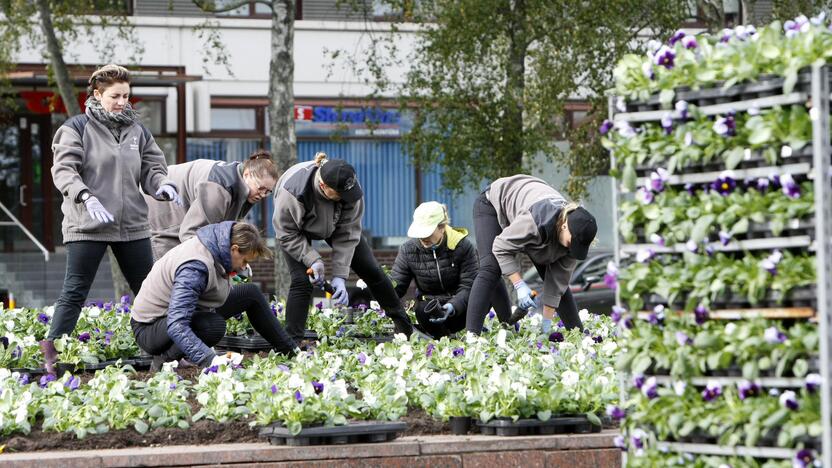 Darbai: vėlyvo rudens orų nebijančiomis našlaitėmis puošta centrinė miesto aikštė.