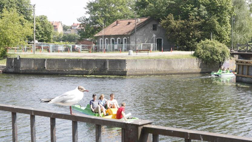 Pozicija: manoma, kad Danės upei reikalingas operatorius, kuris sureguliuotų sportinių ir pramoginių laivų eismą.