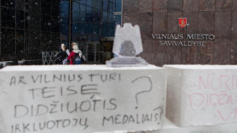 Akcija „Šimašiau, neišvaryk irkluotojų iš Vilniaus!“