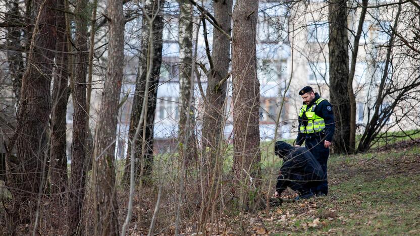 Galimai pagrobtos mergaitės paieška Vilniuje