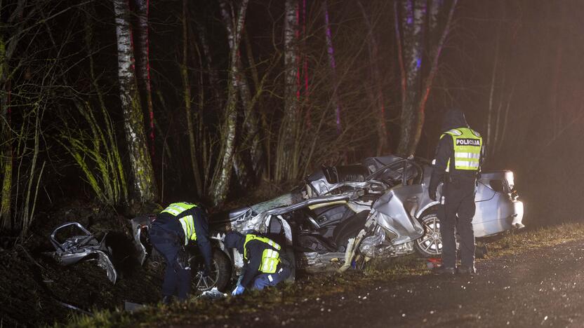 Trakų rajone į medį rėžėsi nuo policijos sprukęs BMW