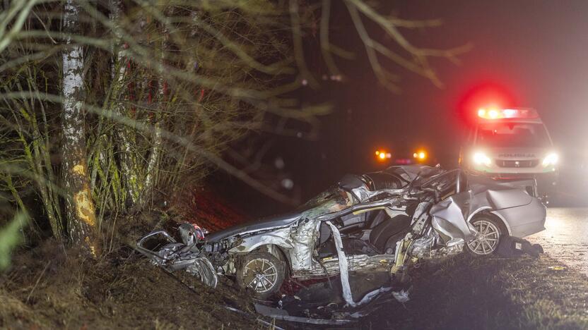 Trakų rajone į medį rėžėsi nuo policijos sprukęs BMW