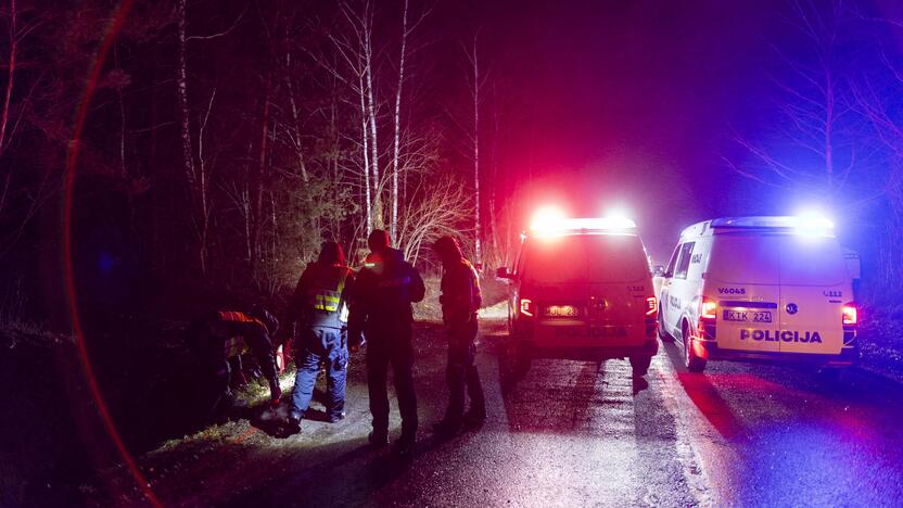 Trakų rajone į medį rėžėsi nuo policijos sprukęs BMW