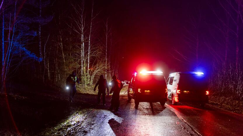 Trakų rajone į medį rėžėsi nuo policijos sprukęs BMW