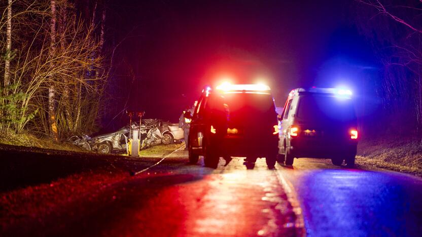 Trakų rajone į medį rėžėsi nuo policijos sprukęs BMW