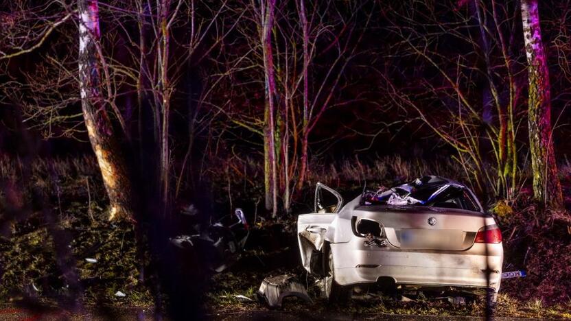 Trakų rajone į medį rėžėsi nuo policijos sprukęs BMW