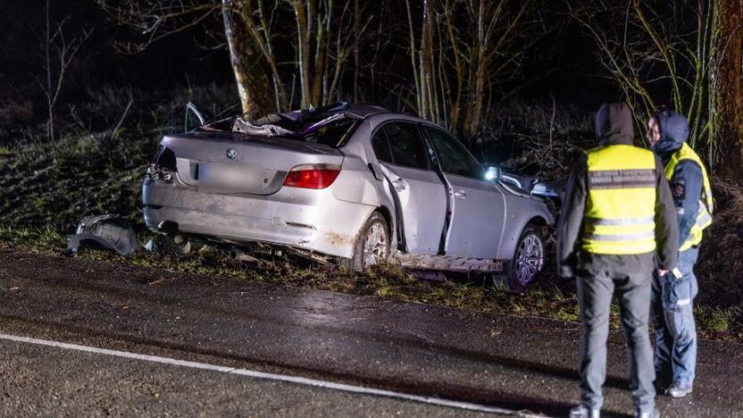 Trakų rajone į medį rėžėsi nuo policijos sprukęs BMW