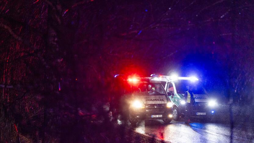 Trakų rajone į medį rėžėsi nuo policijos sprukęs BMW