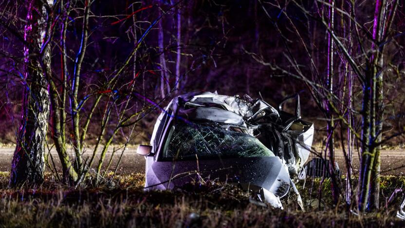 Trakų rajone į medį rėžėsi nuo policijos sprukęs BMW