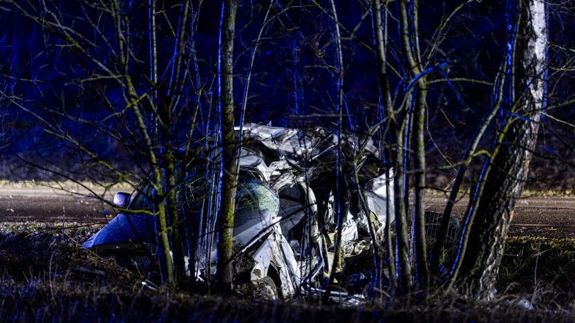 Trakų rajone į medį rėžėsi nuo policijos sprukęs BMW