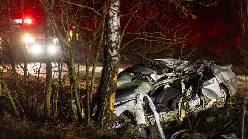 Trakų rajone į medį rėžėsi nuo policijos sprukęs BMW