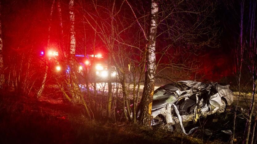 Trakų rajone į medį rėžėsi nuo policijos sprukęs BMW