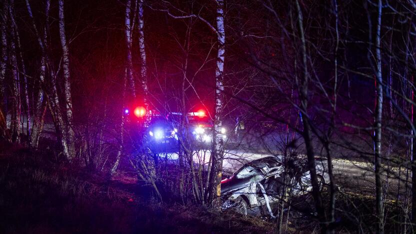 Trakų rajone į medį rėžėsi nuo policijos sprukęs BMW